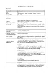 English Worksheet: lesson plan