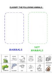 English Worksheet: MAMMALS 