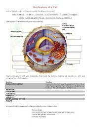 English Worksheet: Biology - The Anatomy of a Cell