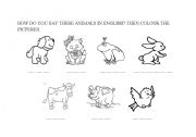 English Worksheet: Animals