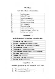English Worksheet: Basic grammar 