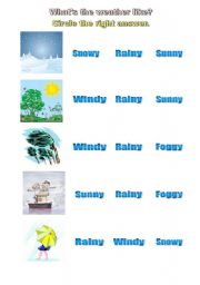 English Worksheet: Whats the weather like?