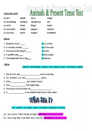 English worksheet: animals test