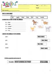 English worksheet: animals worksheet
