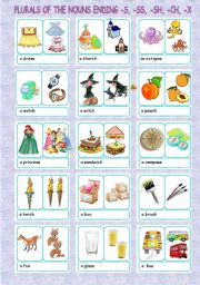 English Worksheet: The plural + nouns ending -s, -ss, -sh, -ch,  -x (4/5)