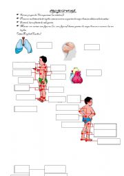 English Worksheet: THe Body Project work