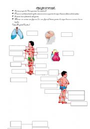 English worksheet: THe Body Project work