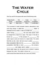 English worksheet: The Water Cycle