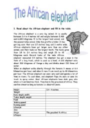 The African elephant 