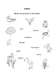 Birds worksheets