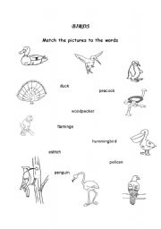 English worksheet: BIRDS