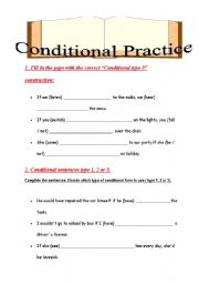 English worksheet: Conditional Practice