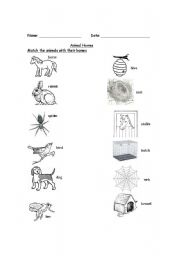 English Worksheet: Animal Homes