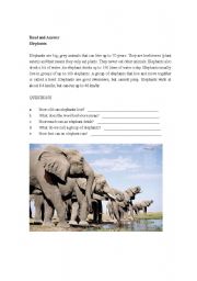 English worksheet: Read and Answer (Simple Comprehension)