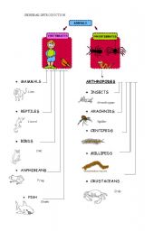 English Worksheet: Ant project