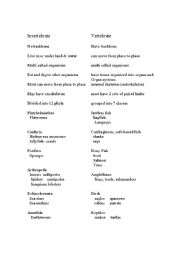 English Worksheet: invertebrates