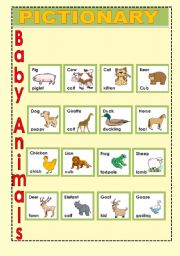 English Worksheet: Baby Animals