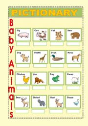 English Worksheet: Baby Animals 2