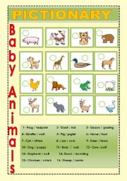 English Worksheet: Baby Animals 3