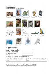 English worksheet: wild animals