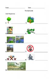 English worksheet: Countryside Vocabulary