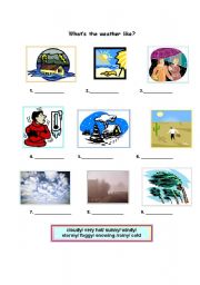 English Worksheet: Whats the weather like?