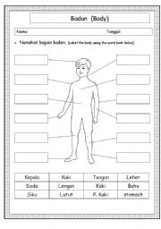 English Worksheet: Body Parts 
