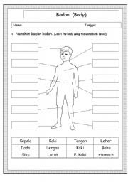 English worksheet: Body Parts 