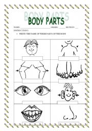 BODY PARTS