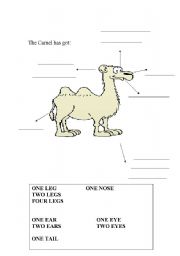 English worksheet: parts of animals body