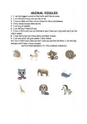 English worksheet: animal riddles