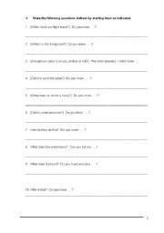 English worksheet: direct/indirect questions