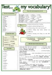 English Worksheet: TEST .... MY VOCABULARY!