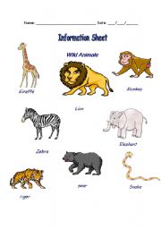 English worksheet: wild animals vocabulary