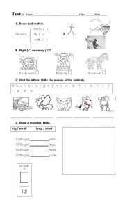 English Worksheet: Test: animals, actions, descriptions