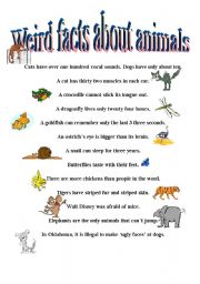 English Worksheet: Weird Facts About Animals 