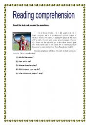 English Worksheet: reading comprehension