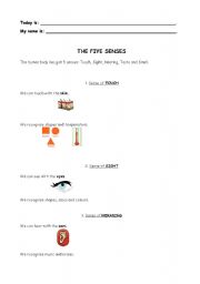 English worksheet: The five senses