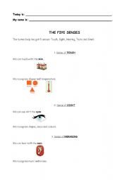 English Worksheet: The five senses