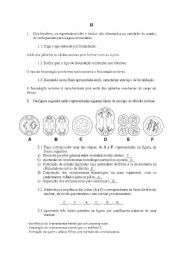 English Worksheet: text