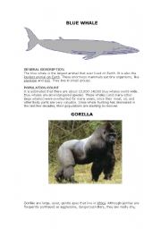 English worksheet: Endangered animals