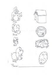English Worksheet: Match the animals to their homes