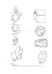 English worksheet: Match the animals to their homes