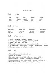 English worksheet: A /An, Plural