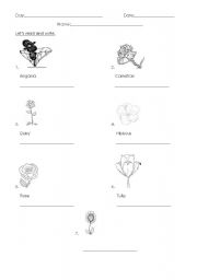 English worksheet: flowers