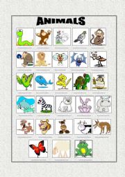 English Worksheet: Matching the Pictures with Animals