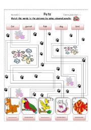 English Worksheet: Pets