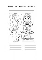 English Worksheet: Body Parts