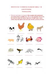 English worksheet: animals in context