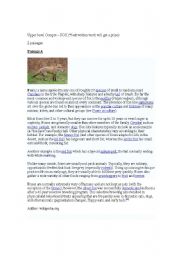 English Worksheet: Comprehension Topic On Foxes